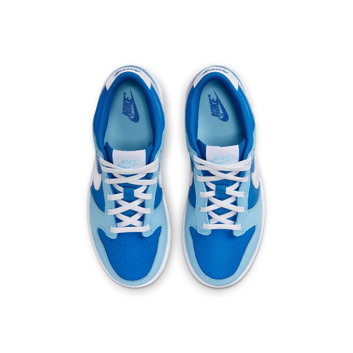 Nike Dunk Low Argon (PS)