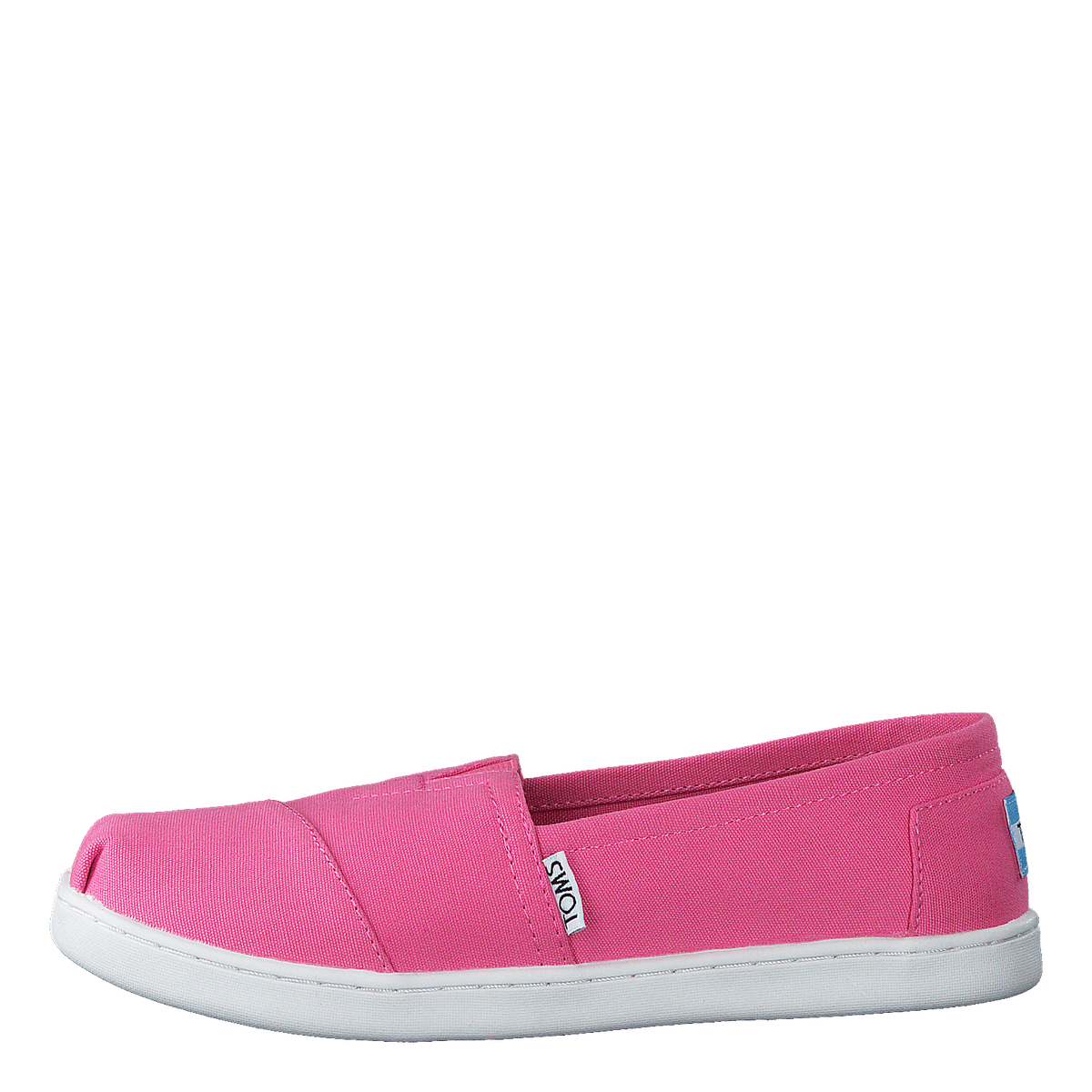 Toms Belmont Bubblegum Canvas