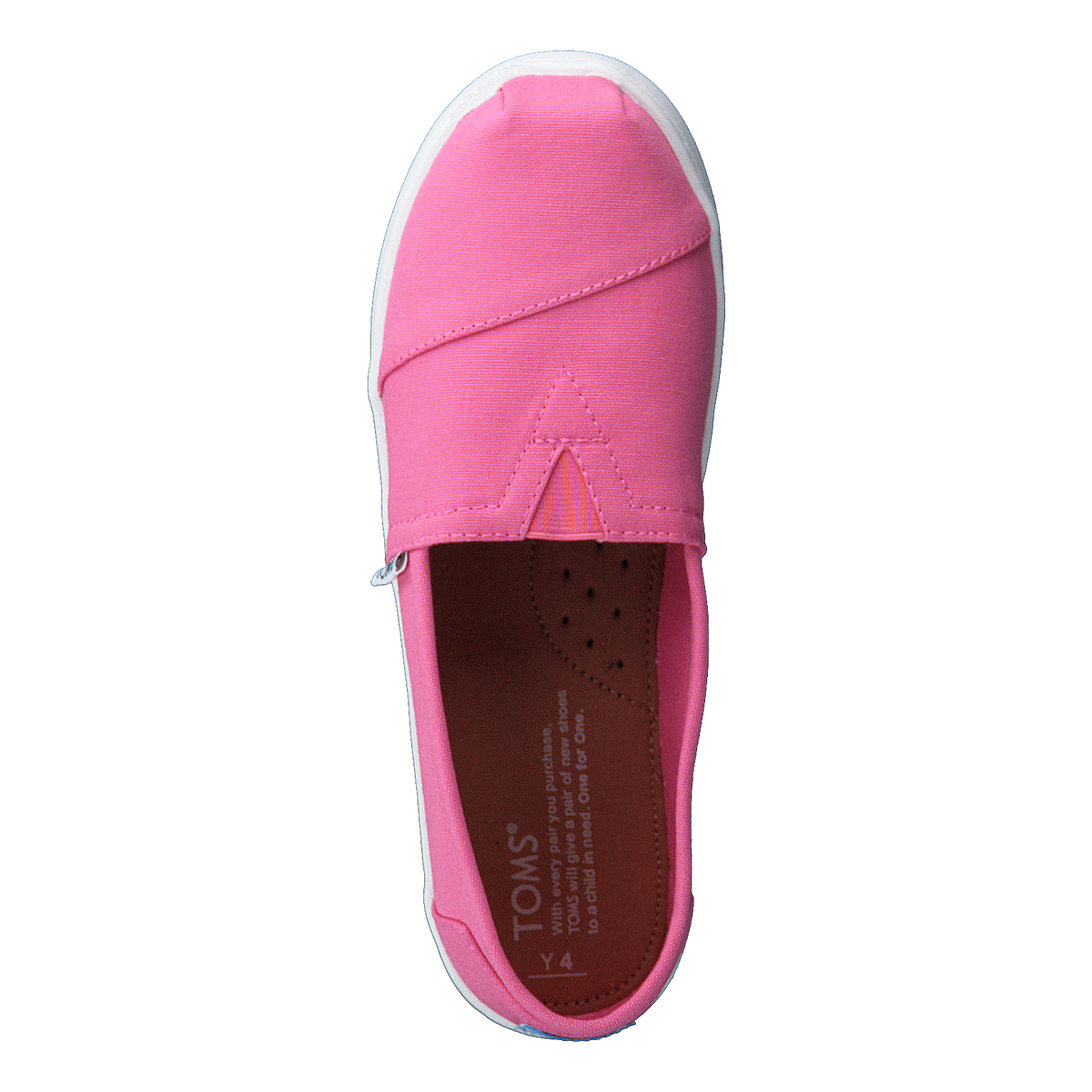 Toms Belmont Bubblegum Canvas