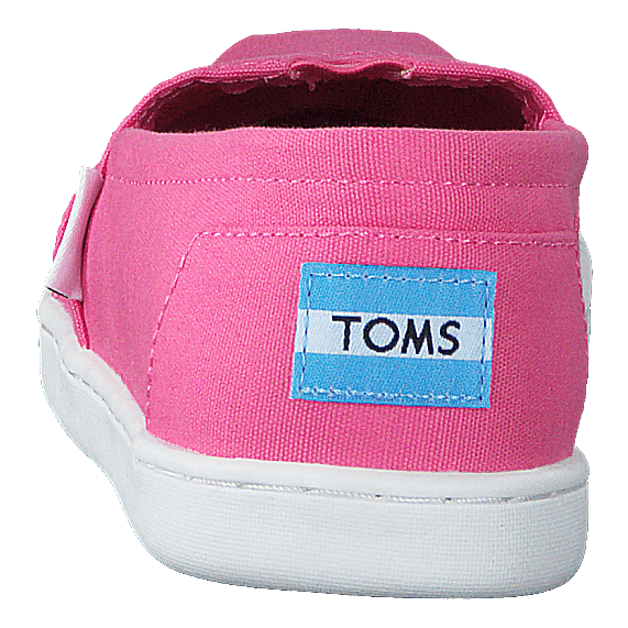 Toms Belmont Bubblegum Canvas
