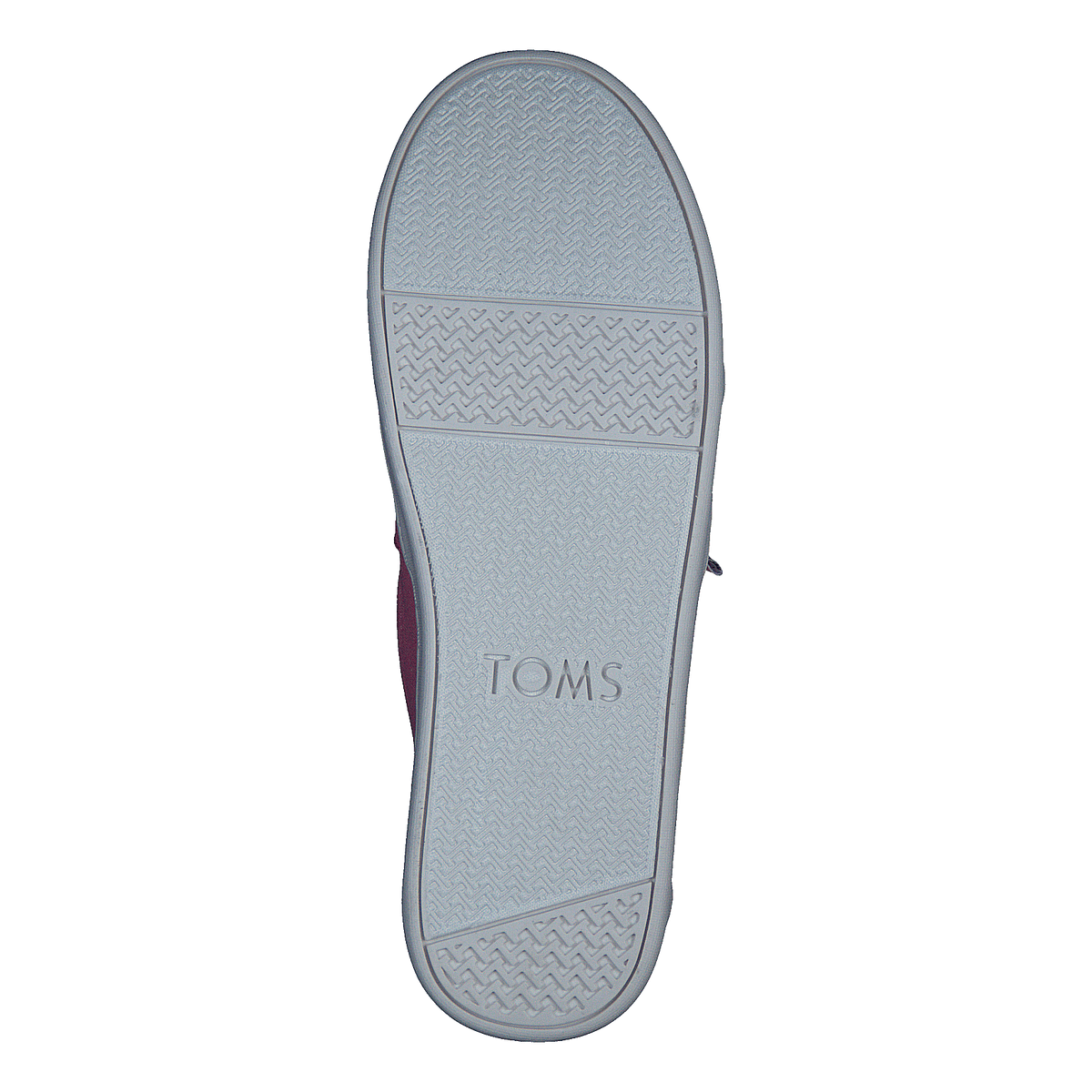 Toms Belmont Bubblegum Canvas
