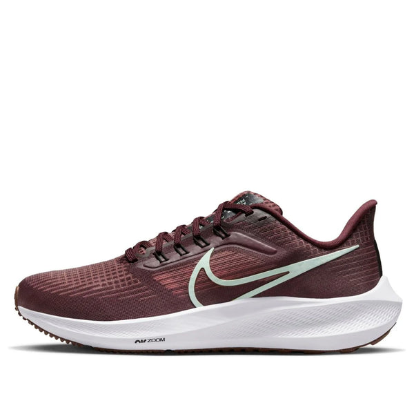 Nike Air Zoom Pegasus 39 'Canyon Rust/Mint Foam' (Women's) TX