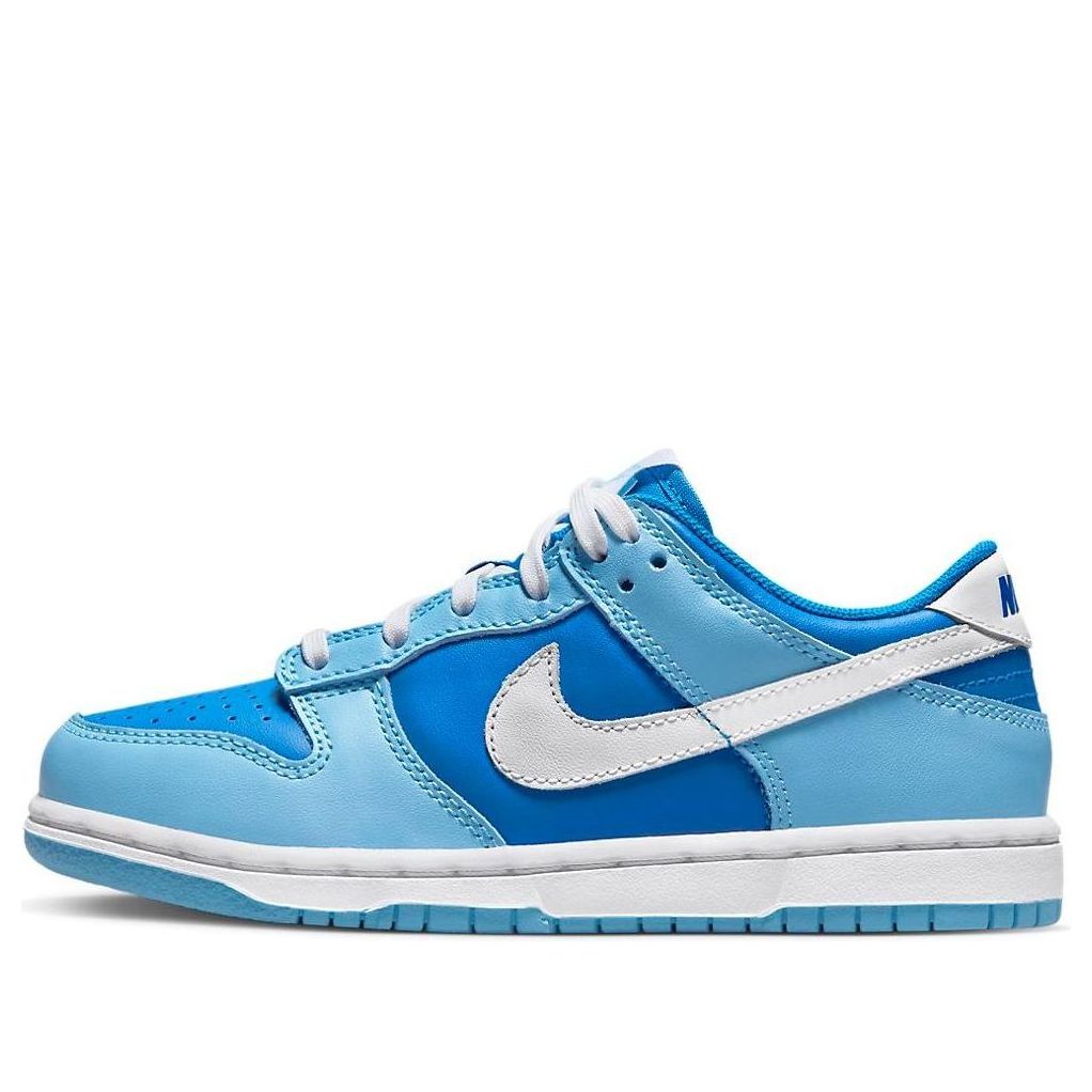 Nike Dunk Low Argon (PS)