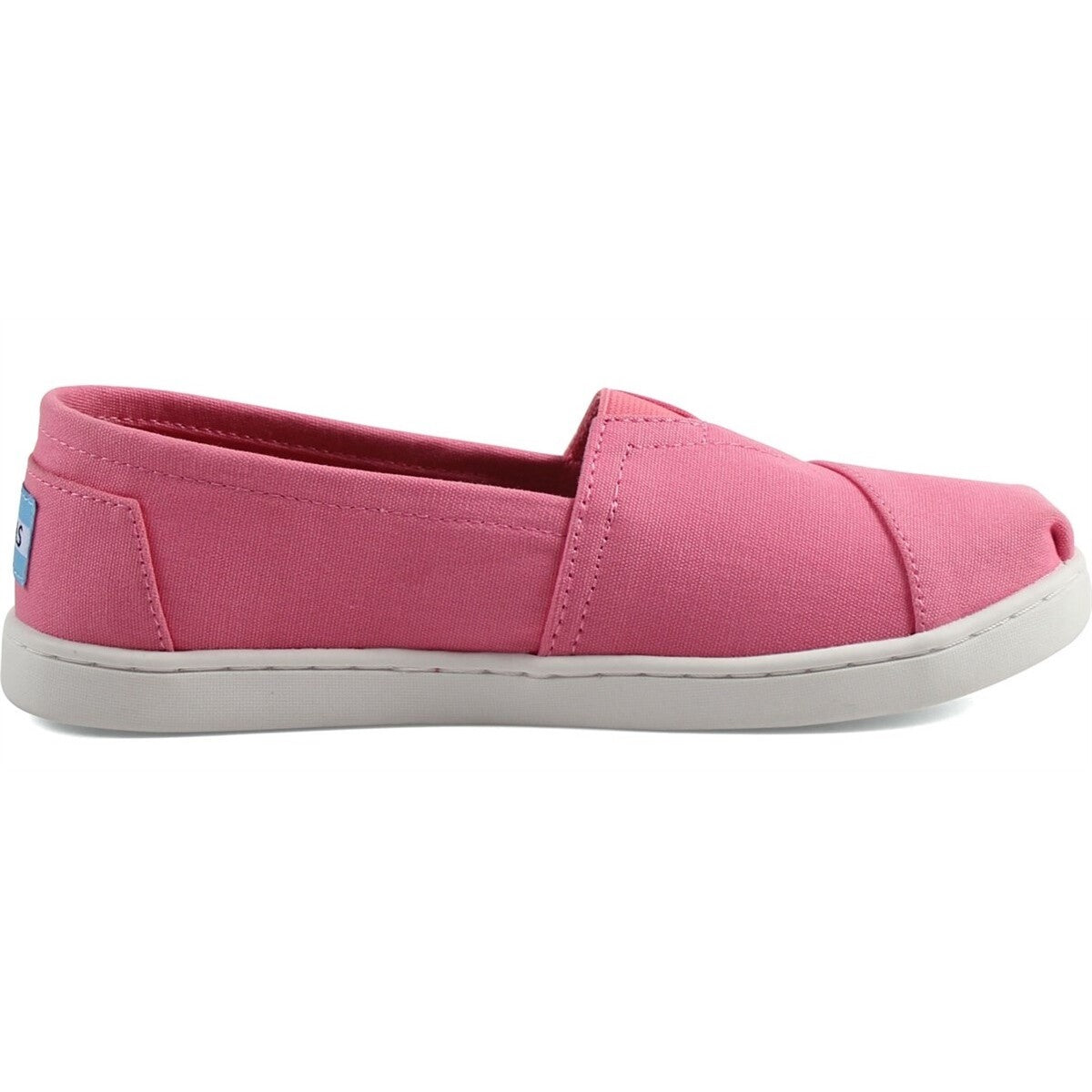 Toms Belmont Bubblegum Canvas